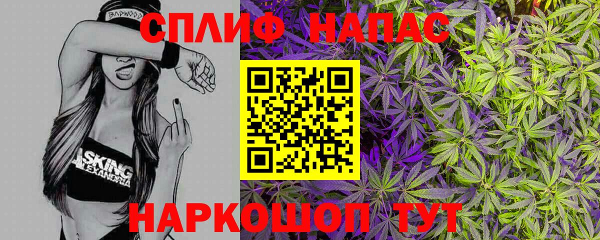 Конопля сатива Солнечногорск